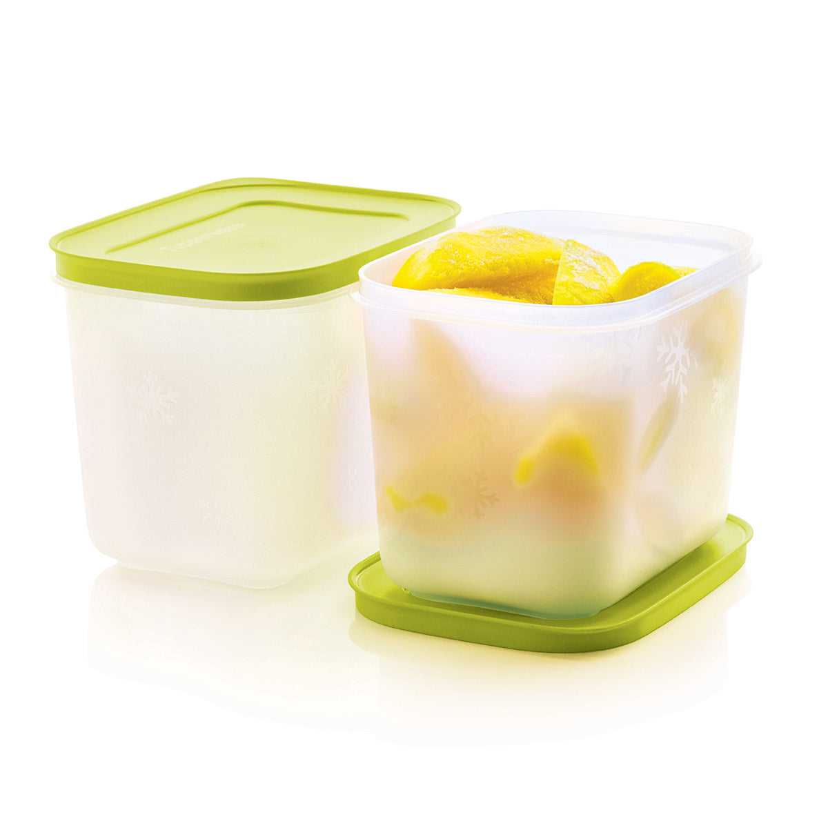 Freezer Mates Plus | Small Deeps