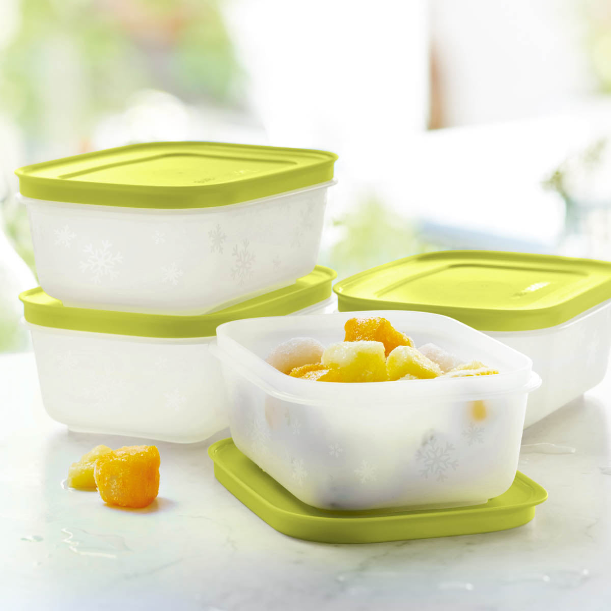 Freezer Mates PLUS Small Shallow | 4-Piece Container Set